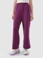 Брюки 4F TROUSERS CAS F1011 4FWSS25TTROF1011-50S р. XL бордовый