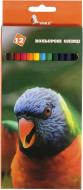 Карандаши цветные Попугай 12 цветов ЦК42-12 Умка