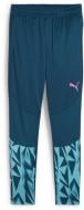 Брюки Puma INDIVIDUALFINAL TRAINING PANTS 65902156 р. XL синий