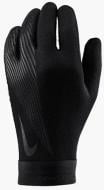 Вратарские перчатки Nike Academy Therma-Fit HF0546-010 L черный