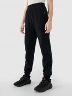 Брюки 4F TROUSERS CAS F1013 4FWSS25TTROF1013-20S р. XS черный