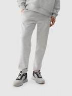 Брюки 4F TROUSERS CAS U0997 4FWSS25TTROU0997-27M р. M серый