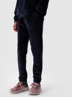 Брюки 4F TROUSERS CAS F753 4FJWAW24TTROF753-31S р. 140 синий