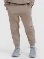 Брюки 4F TROUSERS CAS M1103 4FJWSS25TTROM1103-83S р. 122 бежевый Брюки 4F TROUSERS CAS M1103 4FJWSS25TTROM1103-83S р. 122 бежевый