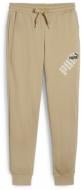 Брюки Puma POWER GRAPHIC SWEATPANTS TR CL 67893683 р. M бежевый