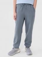 Штани 4F TROUSERS CAS M1186 4FJWSS25TTROM1186-46S р. 134 синій