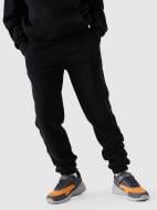 Брюки 4F TROUSERS CAS M1188 4FJWMM00TTROM1188-20S р. 140 черный