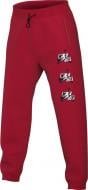 Брюки Nike M J JMC FLC PANT CK6739-687 р. XL красный