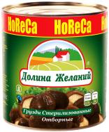 Грибы консервированные Долина желаний Грузди отборочные 3100 мл (2640 г)