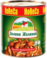 Гриби консервовані Долина желаний відбірні 3100 мл (2640 г) ж/б