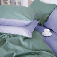 Комплект постельного белья Сатин 0844+0843 Edward 160х220 см зеленый/серо-голубой MirSon