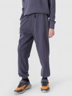 Штани 4F TROUSERS CAS M0965 4FJWSS25TTROM0965-22S р. 158 синій