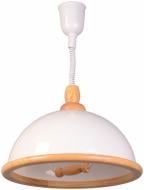 Подвес Геотон НСБ 01-60-096 СKД 1x60 Вт E27 белый 30881