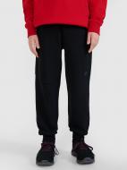 Брюки 4F TROUSERS CAS M1103 4FJWSS25TTROM1103-20S р. 158 черный