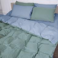 Комплект постельного белья Сатин 0844+0845 Walter 200х220 см зеленый/голубой MirSon