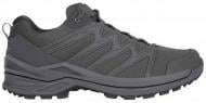 Кроссовки мужские демисезонные Lowa Innox PRO GTX Lo TF 310832/0737 р.45 Wolf