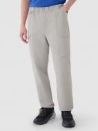 Штани 4F TROUSERS CAS M0998 4FWSS25TTROM0998-26S р. 2XL сірий