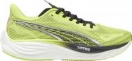 Кросівки чоловічі Puma VELOCITY NITRO 3 PSYCHEDELIC RUSH 38008001 р.42,5 зелені