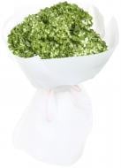 Гортензия Jumbo Dark green shamrock зеленый