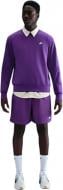Джемпер Nike M NK Club BB Crew FN3886-507 р.M фиолетовый