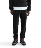 Штани Nike M ACG WOLF TREE PANT HV1123-010 р. M чорний