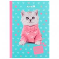 Блокнот KITE А5 40 лист. клетка Studio Pets SP24-091