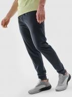 Штани 4F TROUSERS FNK M0835 4FWSS25TFTRM0835-22M р. L сірий