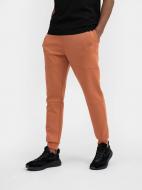 Брюки 4F 4FSS23TTROM152-81 р. L коричневый