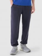 Брюки 4F TROUSERS CAS M1120 4FWSS25TTROM1120-22S р. M синий