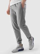 Брюки 4F TROUSERS FNK M0835 4FWSS25TFTRM0835-25M р. M серый