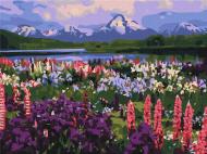 Картина за номерами Долина польових квітів 30x40 см Brushme
