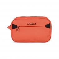 Косметичка Bagland Charm 4,75 л оранжевая (1143421842) Косметичка Bagland Charm 4,75 л оранжевая (1143421842)