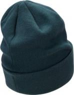 Шапка Nike U NK PEAK BEANIE SC MTSWSH L FB6527-328 р.one size зеленый