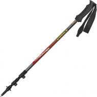 Трекінгові палиці Vipole Carbontrek QL Eva Red/Gray S16 09
