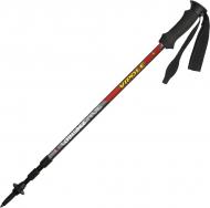 Трекінгові палиці Vipole Challenge AS Eva S15 25
