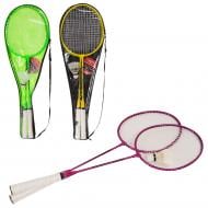 Набір для бадмінтону PROF1 MS 0774-2