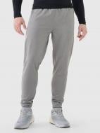 Брюки 4F 4FWSS26TFTRM1046-25M р. 2XL серый