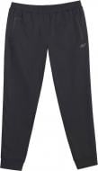Брюки 4F 4FWSS26TFTRM1046-20S р. 2XL черный