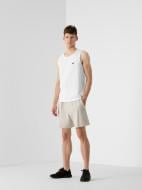 Шорты 4F D4Z21-SKMD200-27S р. L серый