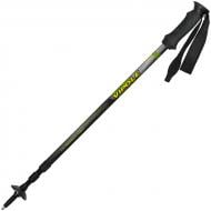 Трекінгові палиці Vipole Wilderness AS Eva Plus S16 33