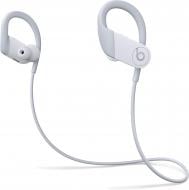 Наушники Beats Powerbeats Performance white (MWNW2ZM/A)