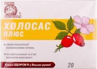 Добавка дієтична Ключі здоров'я Холосас плюс сироп стік 10 мл 20 шт.