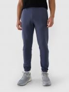 Штани 4F TROUSERS CAS M1014 4FWSS25TTROM1014-22S р. XL сірий