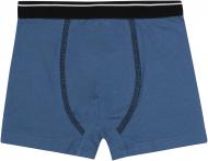 Трусы для мальчиков Bembi ТР42 р.140 голубой 22042011045.400