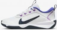 Кросівки для хлопчиків Nike OMNI MULTI-COURT DM9027-104 р.39