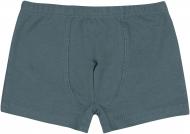 Трусы для мальчиков Bembi ТР46 р.128 голубой 22046011043.400