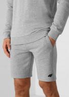 Шорти 4F H4L22-SKMD350-27M р. 2XL сірий