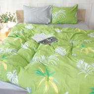 Комплект постельного белья Сатин 143х210 см 22-1317 Ashley мультиколор MirSon