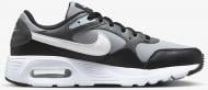 Кроссовки мужские Nike AIR Max SC CW4555-013 р.44,5 серые