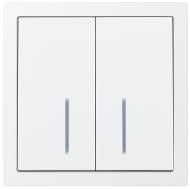 Механизм выключателя двухклавишный HausMark Juna с подсветкой белый матовый 7041-0988-112QC